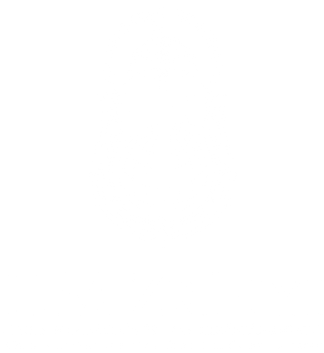 HM Zrínyi Logo